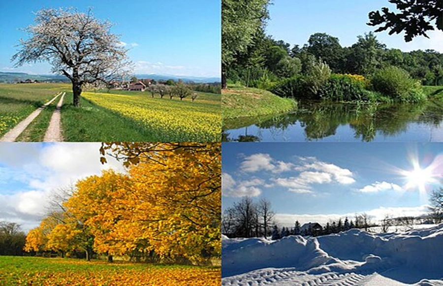How Not Planning for Seasonality Can Undermine a Home‑Services Franchisee’s Business
